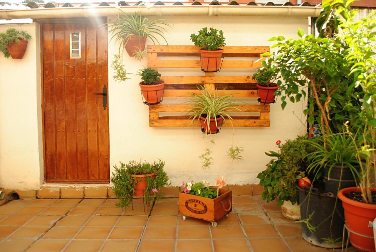 Habitacion Con Patio En Piso Compartido Capellades Luaran gambar